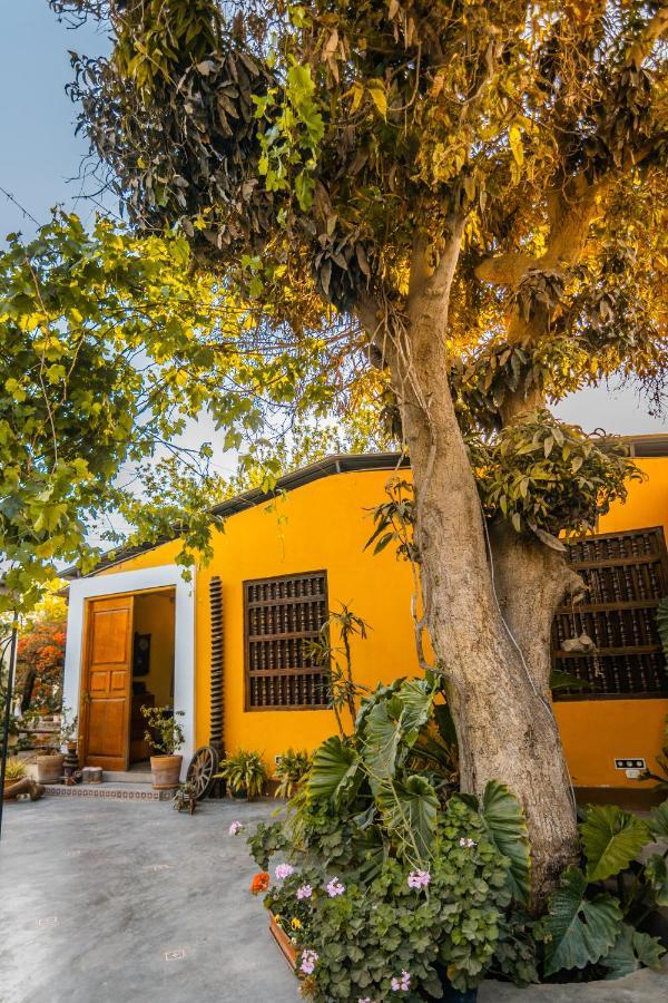 Luchy'S Country House Hostel Ica Exterior photo