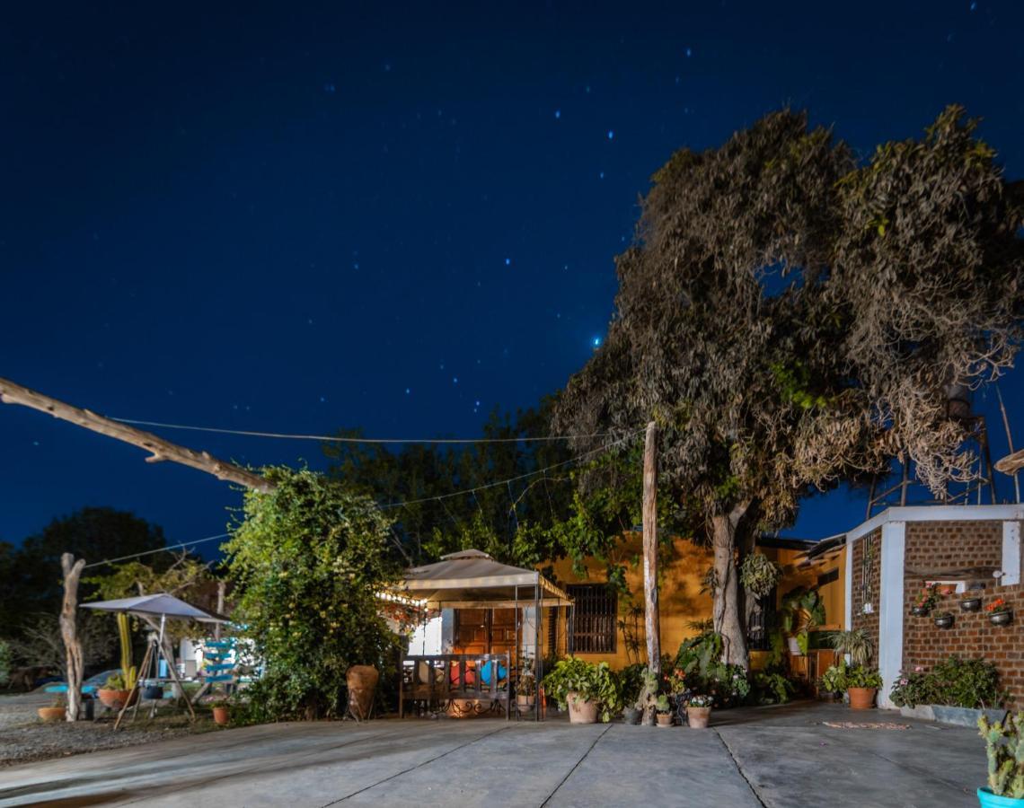 Luchy'S Country House Hostel Ica Exterior photo