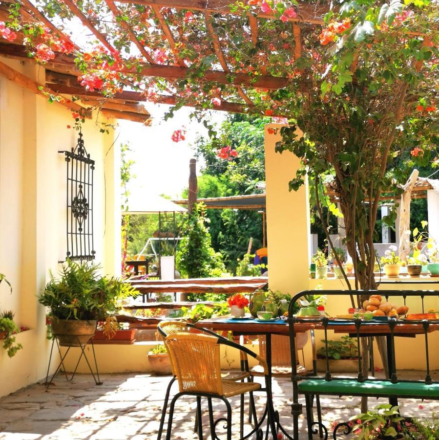 Luchy'S Country House Hostel Ica Exterior photo