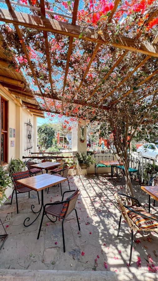 Luchy'S Country House Hostel Ica Exterior photo