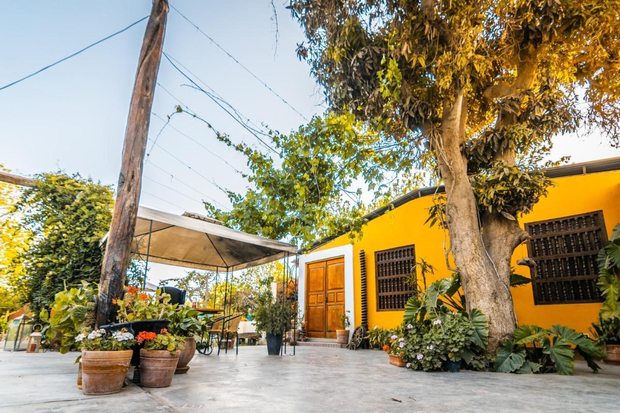 Luchy'S Country House Hostel Ica Exterior photo